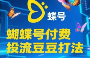 2025蝴蝶号付费投流豆豆打法,助新手快速掌握付费流量撬动自然流的核心玩法-资源云