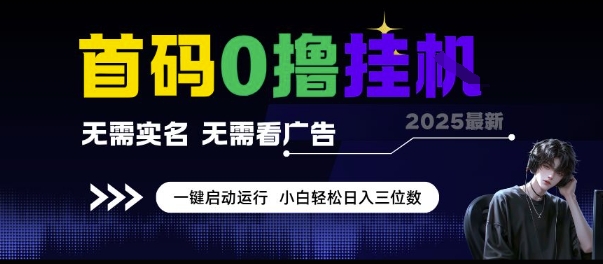 首码0撸挂G项目，无需实名无需看广告 一键启动运行，小白轻松日入三位数【揭秘】-资源云