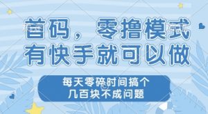 首码零撸项目，有快手就可以做，每天业务时间搞个几张不是问题【揭秘】-资源云