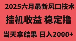 2025六月最新风口技术，无人挂G撸礼物，长期稳定 一个小时收益2k+，小白当天拿结果【揭秘】-资源云