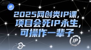 2025网创类IP课，项目会死IP永生，可操作一辈子-资源云