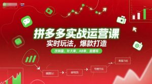 拼多多实战运营课，实时玩法，爆款打造，改销量，补大单，AB单，直播等（更新2025月）-资源云