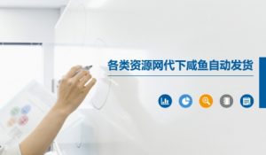 各类资源网代下咸鱼自动发货-资源云