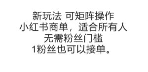 可矩阵操作，小红书商单新玩法，适合所有人，无需粉丝门槛，1粉丝也可以接单-资源云