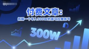 付费文章:拆解一个年入300W的喜马拉雅账号-资源云