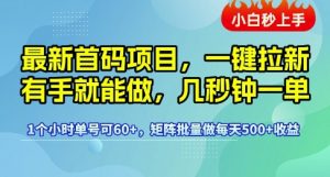 最新首码项目，一键拉新有手就能做，几秒钟一单，1个小时单号可60+，矩阵批量做每天5张【揭秘】-资源云