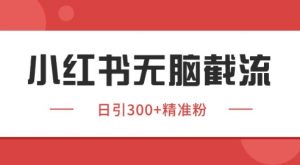 小红书截流同行客源,独家野路子获客玩法 日引200+暴力获客【揭秘】-资源云