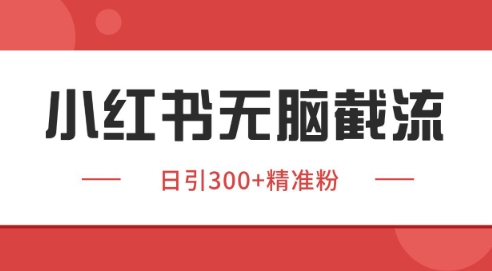 小红书截流同行客源，独家野路子获客玩法 日引200+暴力获客【揭秘】-资源云