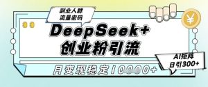 DeepSeek+创业粉精准引流,全新分享课4.0玩法,AI矩阵日引300+,多种变现方式,稳定月入1W-资源云