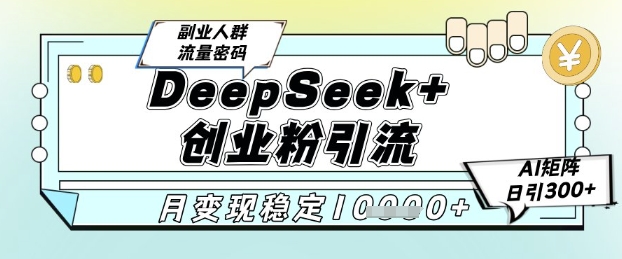 DeepSeek+创业粉精准引流，全新分享课4.0玩法，AI矩阵日引300+，多种变现方式，稳定月入1W-资源云