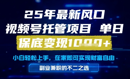25年最新风口，视频号托管项目，单日保底变现1k+，手把手教学【揭秘】-资源云