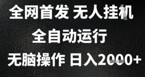 2025首发无人挂G项目,日入2k+,全自动运行,无脑操作,长期稳定 小白可玩【揭秘】-资源云