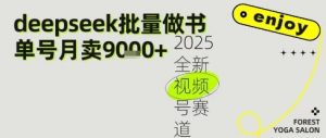 Deepseek+即梦AI做书单号 批量制作文学名著解读跟单书9k+-资源云