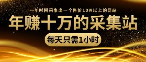 年赚十万的采集站，每天1小时，一年采集出一个售价10W的网站（无水印）-资源云