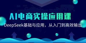 AI电商实操应用课 DeepSeek基础与应用 从入门到高效输出-资源云