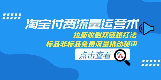 淘宝付费流量运营术 拉新收割双链路打法 标品非标品免费流量撬动秘诀-资源云