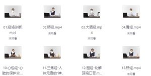 经络诊断与处方十二经络循-资源云