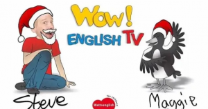 【幼儿英语启蒙】wow English英语启蒙全集9季 +TV纯英语版366集+中英文字幕版37集[mp4]【46.9GB】-资源云