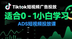 Tiktok短视频广告投放，适合0-1小白学习ADS短视频投放课-资源云