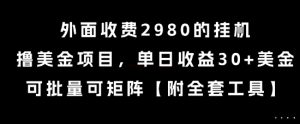 外面收费2980的挂G撸美金项目,单日收益30+美金,可批量可矩阵【揭秘】-资源云