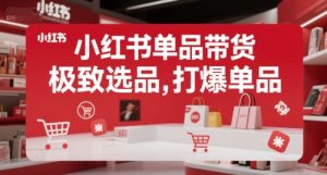小红书单品带货,极致选品,打爆单品(更新)-资源云