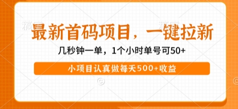 最新首码项目，操作最简单，收益高，一键拉新，1个小时单号可50+，小项目认真做每天5张+收益【揭秘】-资源云