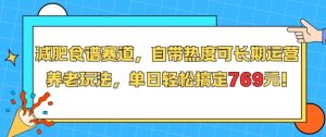 减肥食谱赛道,自带热度可长期运营,养老玩法,单日轻松搞定769-资源云