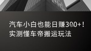 汽车小白也能日入3张!实测懂车帝搬运玩法-资源云