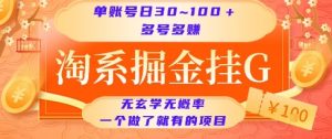 淘系掘金挂G项目，单账号日收益30~100+，多号多得，一个做了就有的项目【揭秘】-资源云