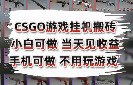 CSGO游戏挂G搬砖，小白纯手机即可操作，不用电脑打游戏，日入3张+，副业网创项目【揭秘】-资源云