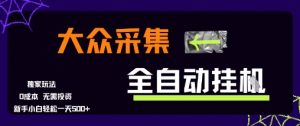 大众采集全自动玩法,新手小白轻松一天5张+,操作简单零成本【揭秘】-资源云
