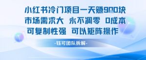 小红书冷门项目一天收益9张,市场需求大,0成本,可复制性强可以矩阵操作-资源云