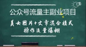 公众号流量主副业项目,美女图片+文章混合模式操作流量爆棚-资源云