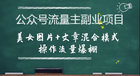 公众号流量主副业项目，美女图片+文章混合模式操作流量爆棚-资源云