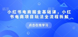 小红书电商掘金课,小红书电商项目玩法全流程拆解(更新7月)-资源云