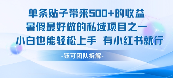 单条贴子带来5张的收益，暑假最好做的私域项目之一，小白也能轻松上手，有小红书就行-资源云