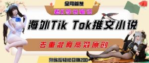 海外tiktok小说推文暴力项目,高停留率,高转化率,上手后一天搞顿饭钱不是问题-资源云