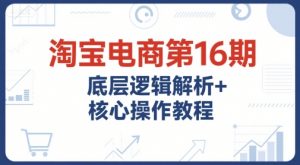 淘宝电商第16期，底层逻辑解析+核心操作教程，运营、推广提升能力的必学课程+配套资料-资源云