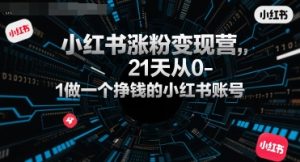 小红书涨粉变现营,21天从0-1做一个挣钱的小红书账号-资源云