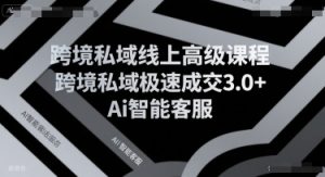 跨境私域线上高级课程,跨境私域极速成交3.0+Ai智能客服-资源云