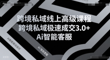 跨境私域线上高级课程，跨境私域极速成交3.0+Ai智能客服-资源云