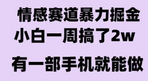 情感暴力掘金项目,新人操作一周挣了2W,长期稳定小白可做【揭秘】-资源云