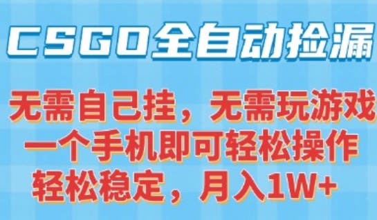 CSGO自动捡漏项目，最新独家玩法，一个手机可操作，新手小白轻松月入1W+，操作简单易上手【揭秘】-资源云