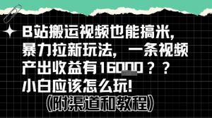 b站掘金计划?搬运视频也能挣拉新的收益,小白应该怎么玩!-资源云