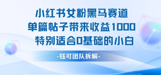 小红书女粉黑马赛道单篇帖子带来收益1k+，特别适合0基础的小白-资源云