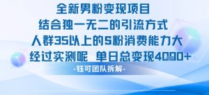全新男粉变现项目引流人群35以上的男粉消费能力大 经过实测单日变现1k+-资源云