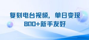 复刻电台视频,单日变现8张+新手友好,长期可做-资源云