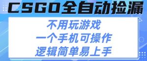 CSGO自动捡漏项目,最新独家玩法,不用挂G不用玩游戏,一个手机即可操作,新手小白轻松月入1W+【揭秘】-资源云