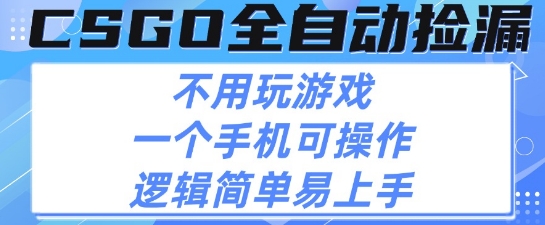 CSGO自动捡漏项目，最新独家玩法，不用挂G不用玩游戏，一个手机即可操作，新手小白轻松月入1W+【揭秘】-资源云