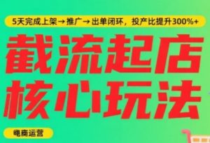淘宝截流快速起店玩法,掌握暴力快速起店的流程,5天完成上架-推广-出单闭环-资源云